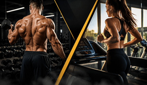 Vücut Geliştirme & Cardio